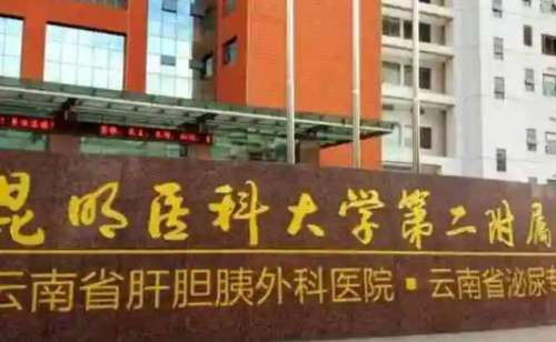 昆明医学院第二附属医院整形科的无痕植发，毛囊提取不伤周边，3个月见新发生长