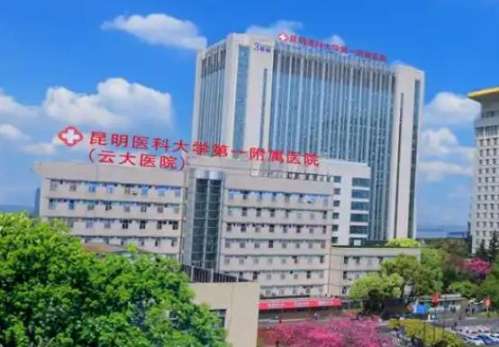 云大医院整形美容科的内切去眼袋+泪沟填充，1次解决眼周老态，年轻感立显